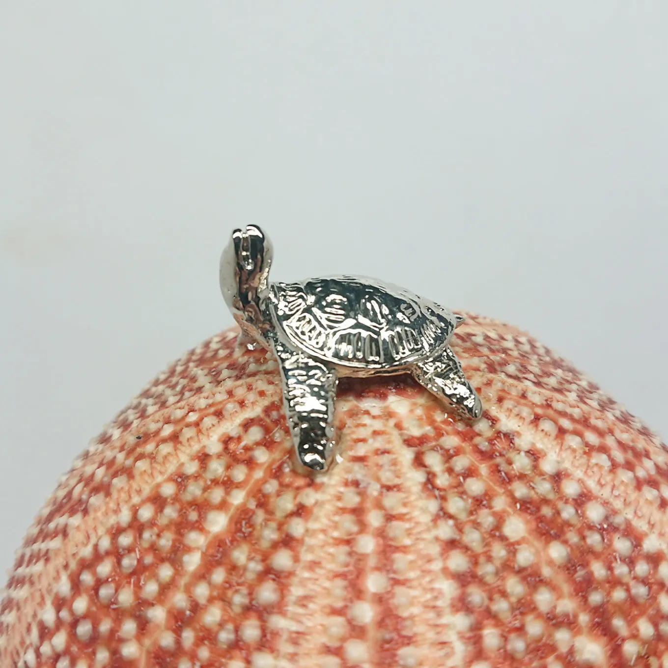 Rich-O Lamp Turtle