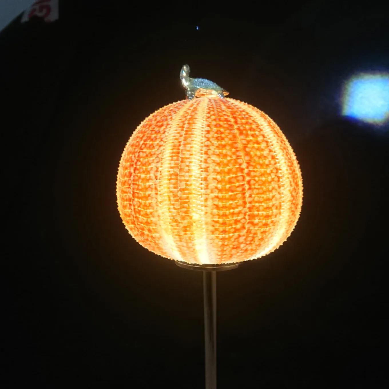 Rich-O Lamp Turtle