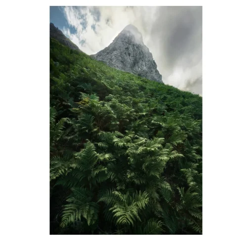 Rocca Novara Photographic Print