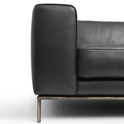 Roger Black Leather Sofa by Dainellistudio