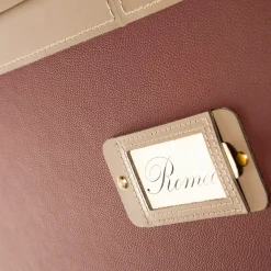 Romeo Brown & Beige Trunk