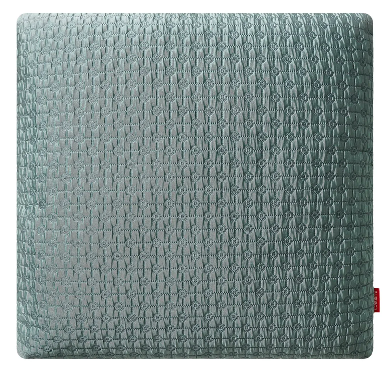 Rood Frame Decorative Cushions #1