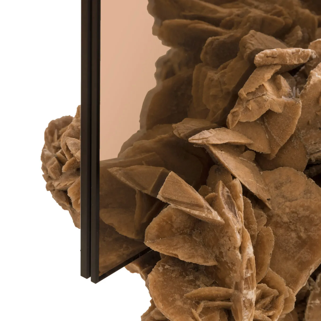 Rosa-Rosæ Square Mirror