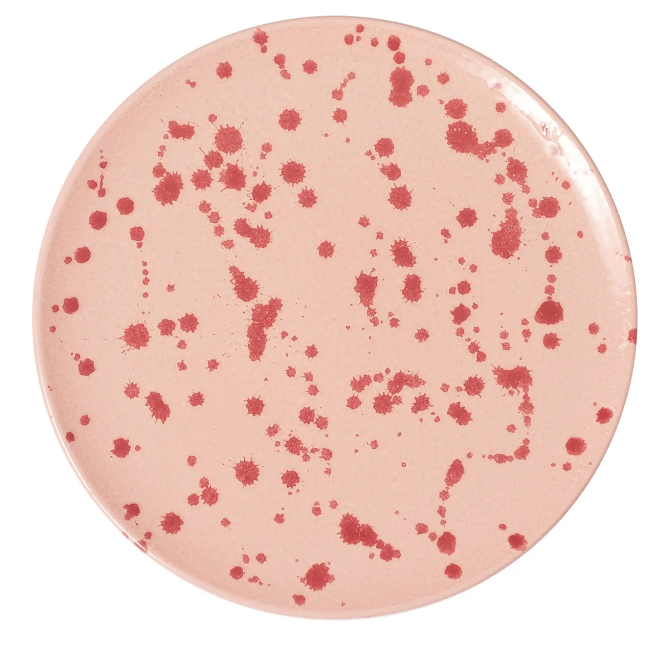 Rose and Burgundy Ceramic Decorative Plate