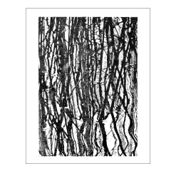 Roseaux, Parco Nord Drawing