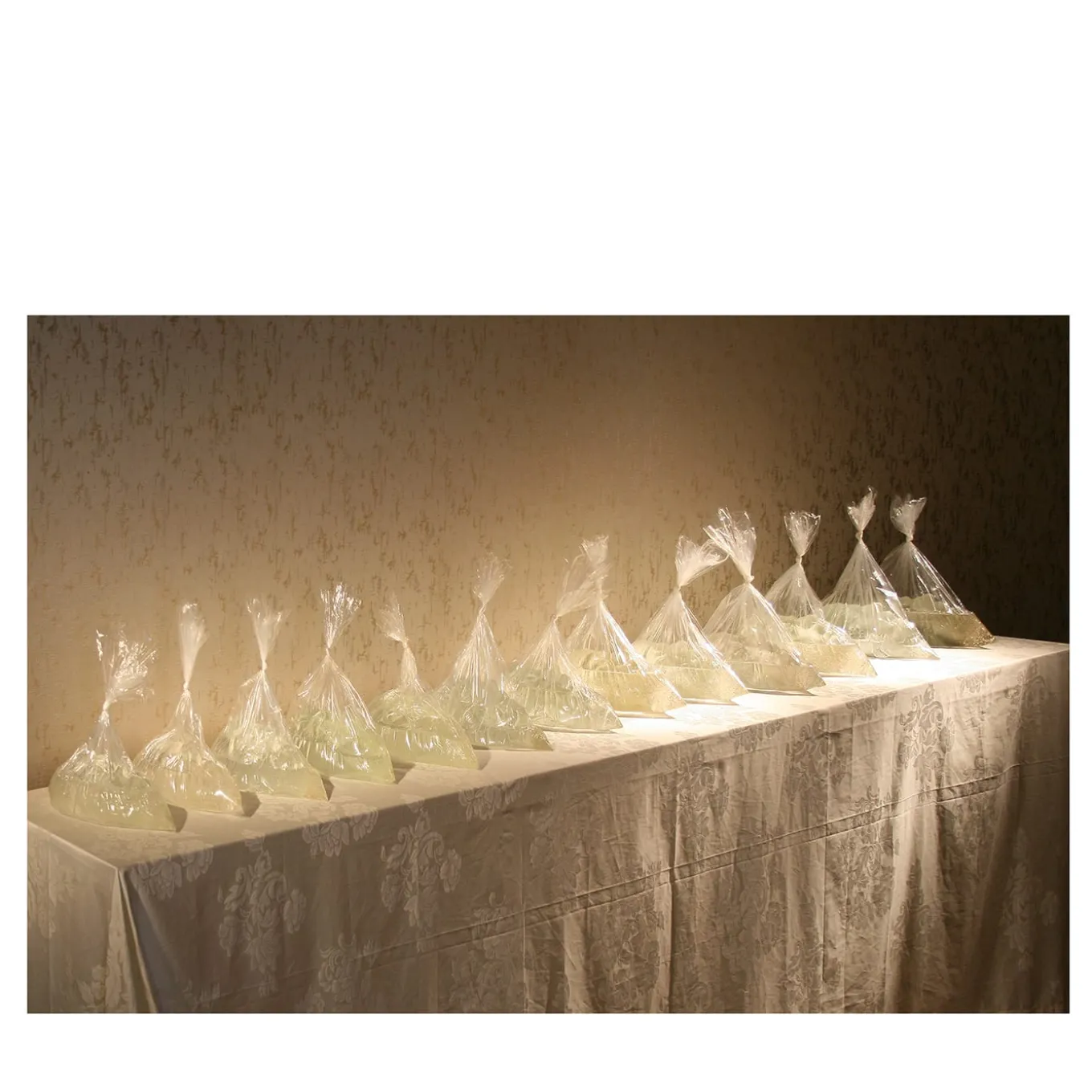 Sacchetti di Vita Photograph