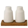 Salt and Pepper Shaker Set