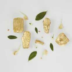 Sambuco Set of 4 Door Knobs by Nicole Valenti