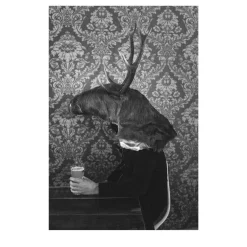 Savage Fool Bear Photography #04