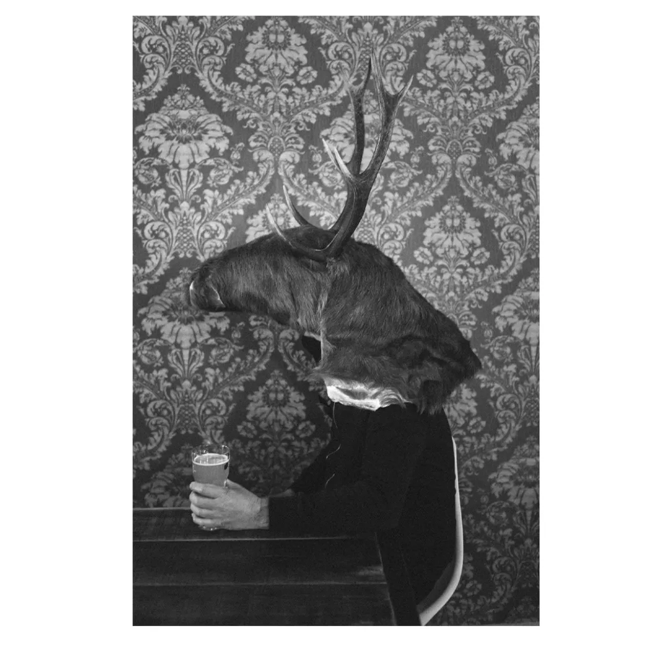 Savage Fool Bear Photography #04