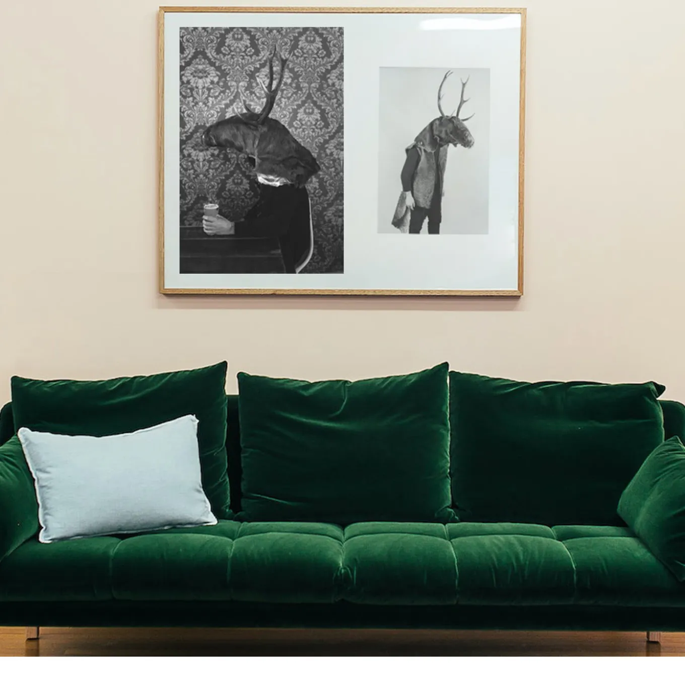 Savage Fool Bear Photography #04