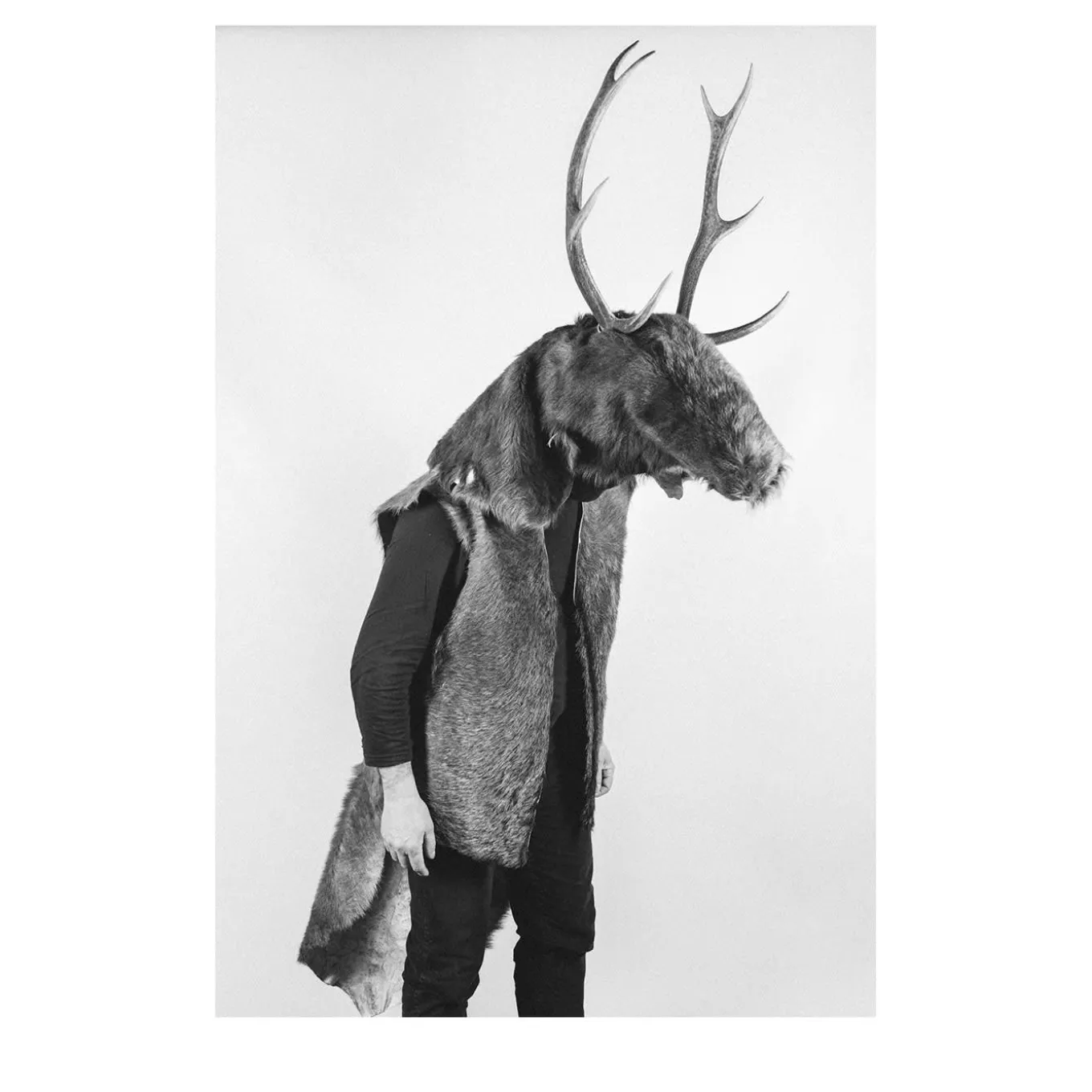 Savage Fool Bear Photography #09