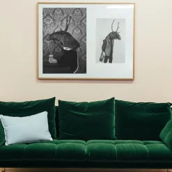 Savage Fool Bear Photography #09