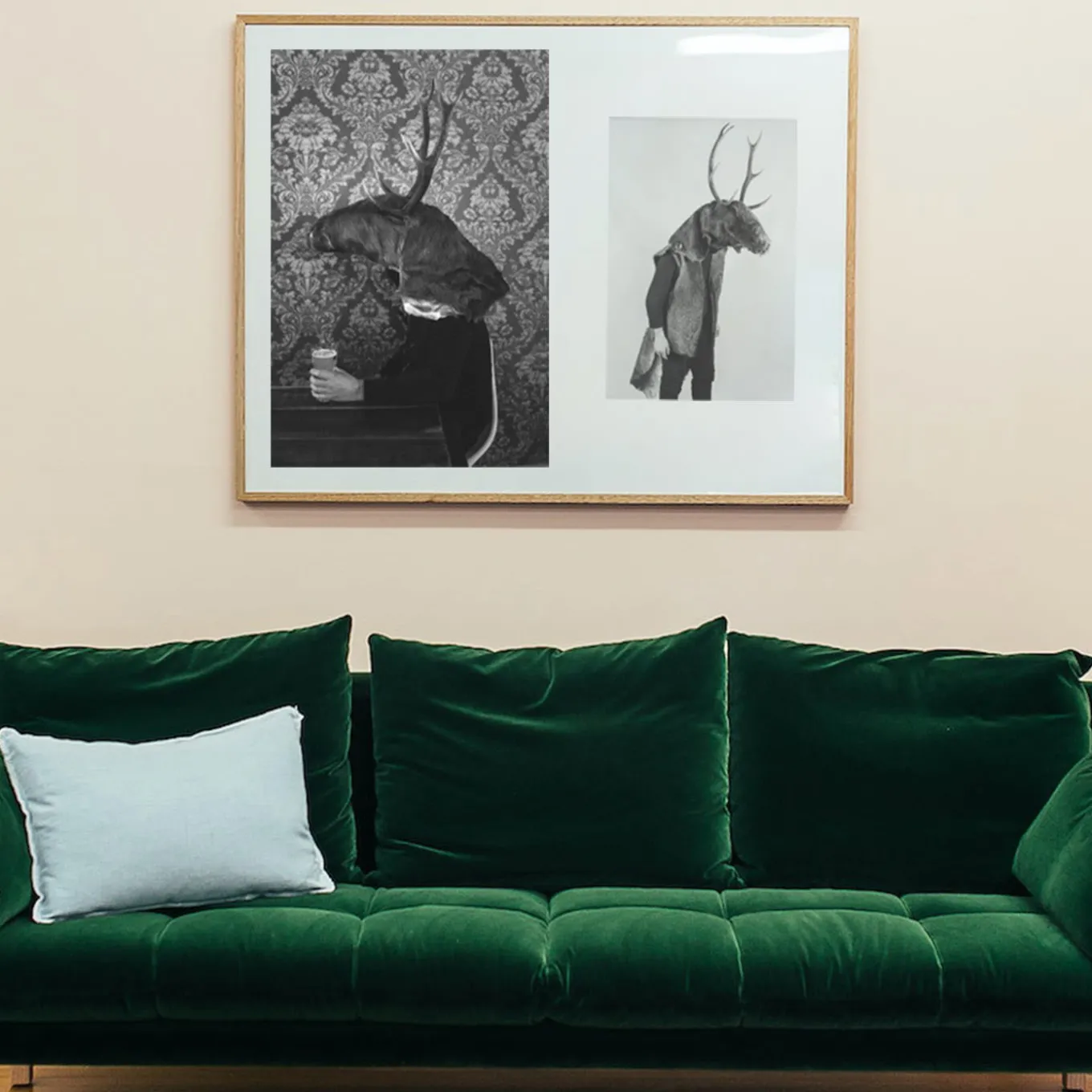 Savage Fool Bear Photography #09