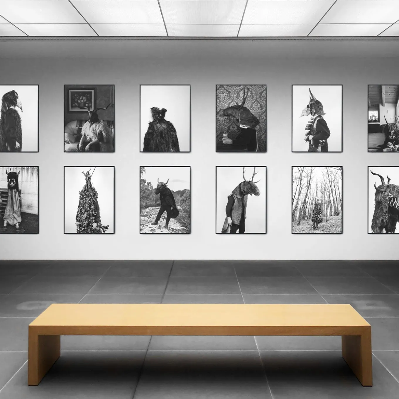 Savage Fool Bear Photography #09