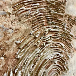 Screziature Ferrose Textured Resin Painting