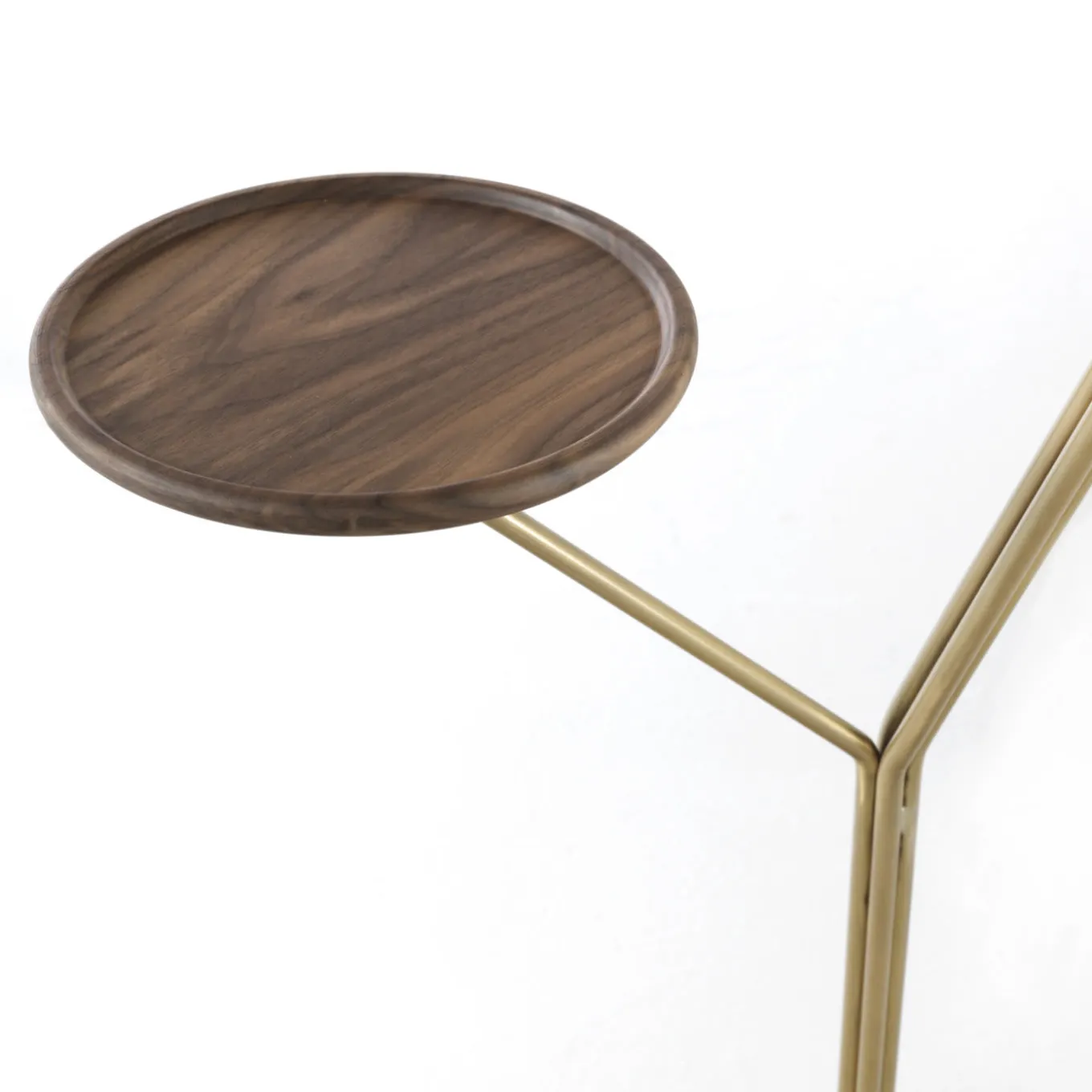 Seed Coat Hanger