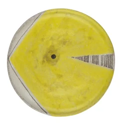 Segni Yellow Plate