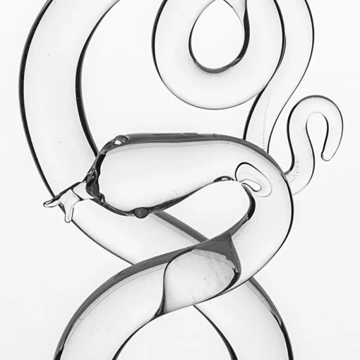 Serpentine Martini Glass