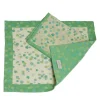 Set of 2 Aqua and Green Placemats with napkins