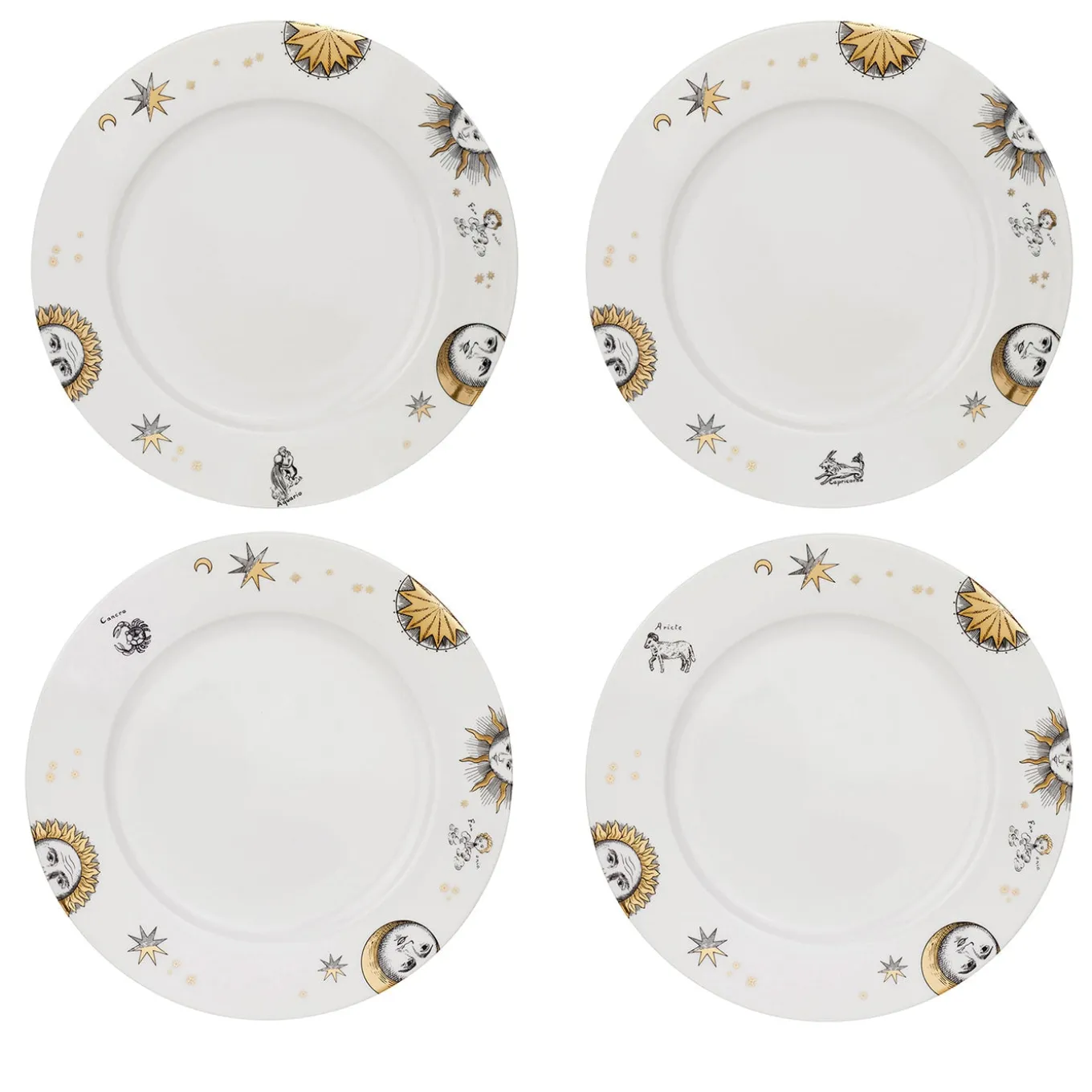Set of 12 Astronomici Dinner Plates