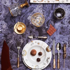 Set of 12 Astronomici Dinner Plates