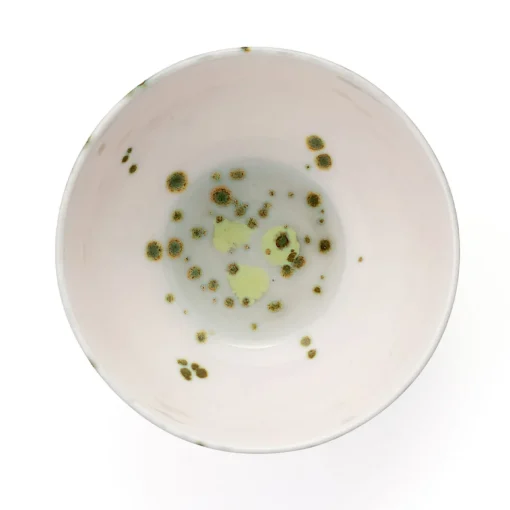 Set of 4 Autumn Fruit Bowls