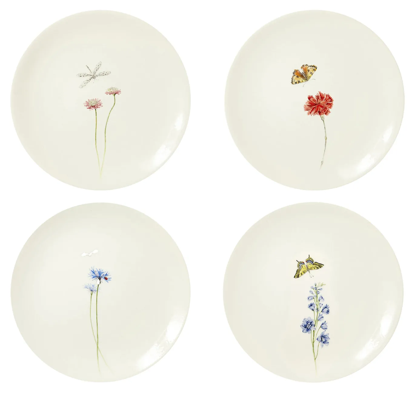 Set of 4 Bloom Dinner Plates #2