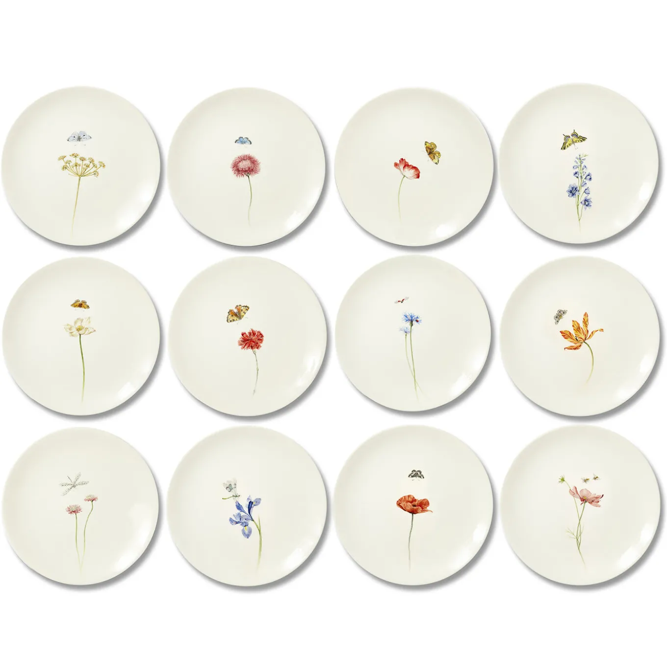 Set of 4 Bloom Dinner Plates #2