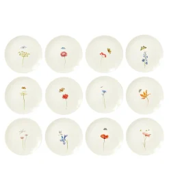 Set of 12 Bloom dinner plates