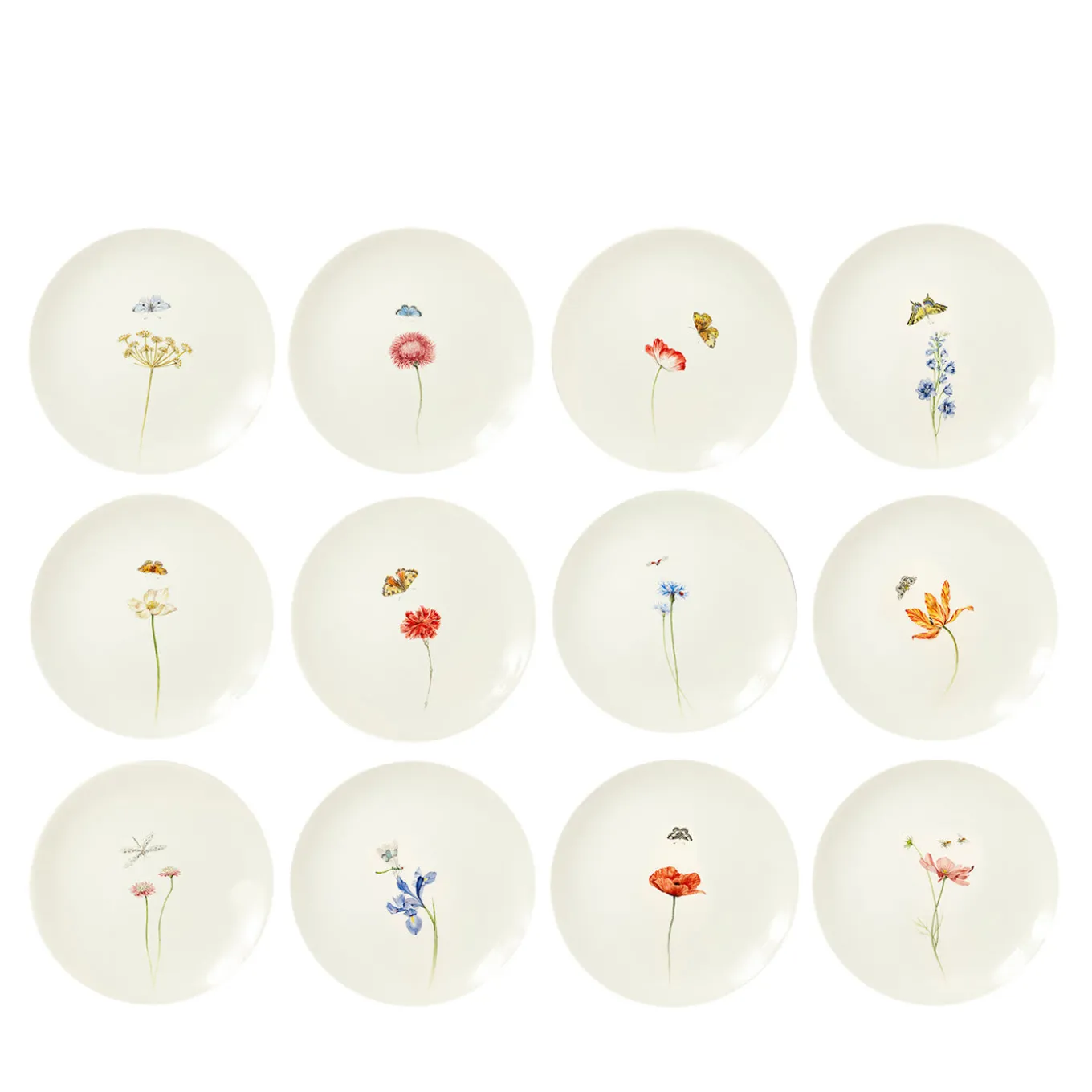Set of 12 Bloom dinner plates