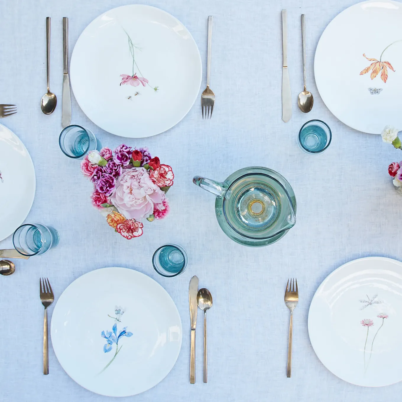 Set of 12 Bloom dinner plates