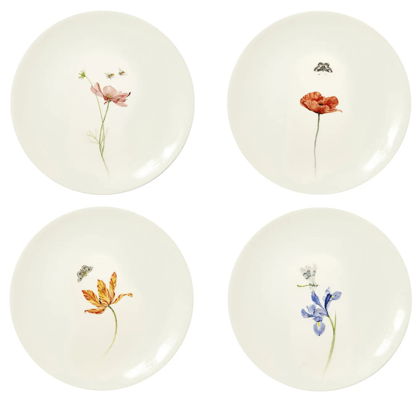 Set of 4 Bloom Dinner Plates #3