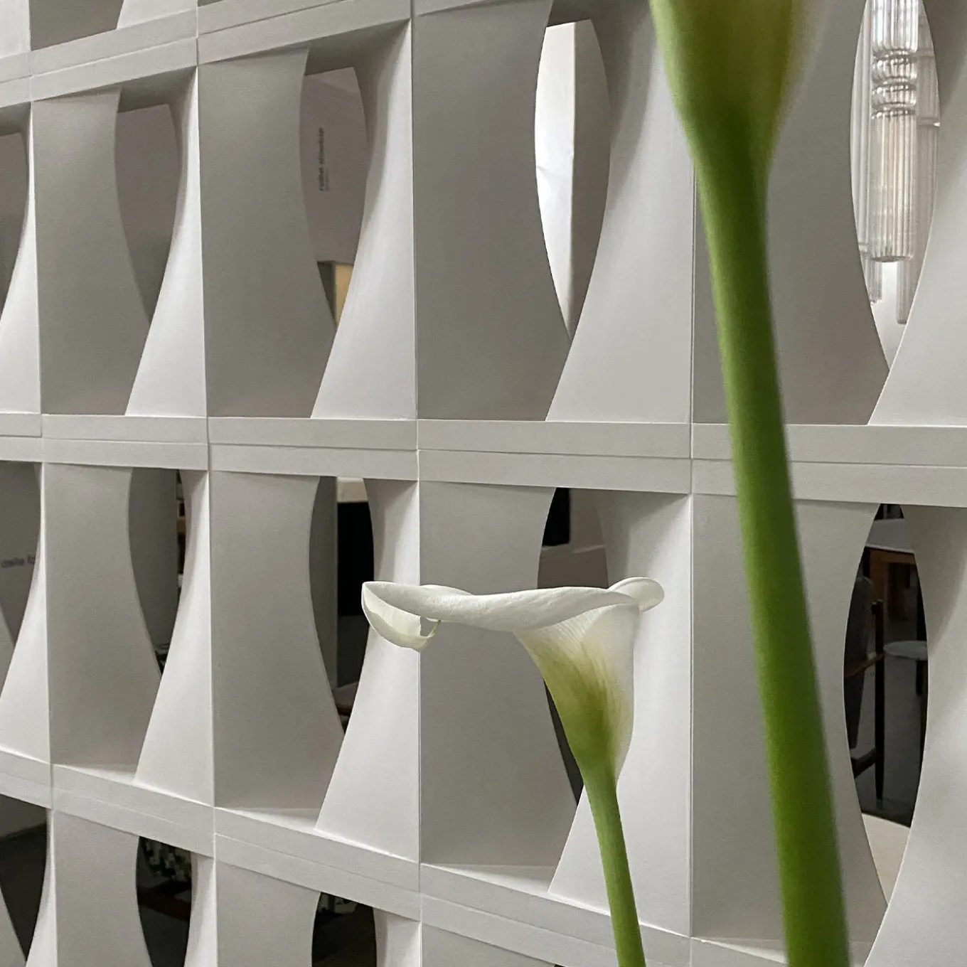 Set of 15 Brasilia White Plaster Screenblock