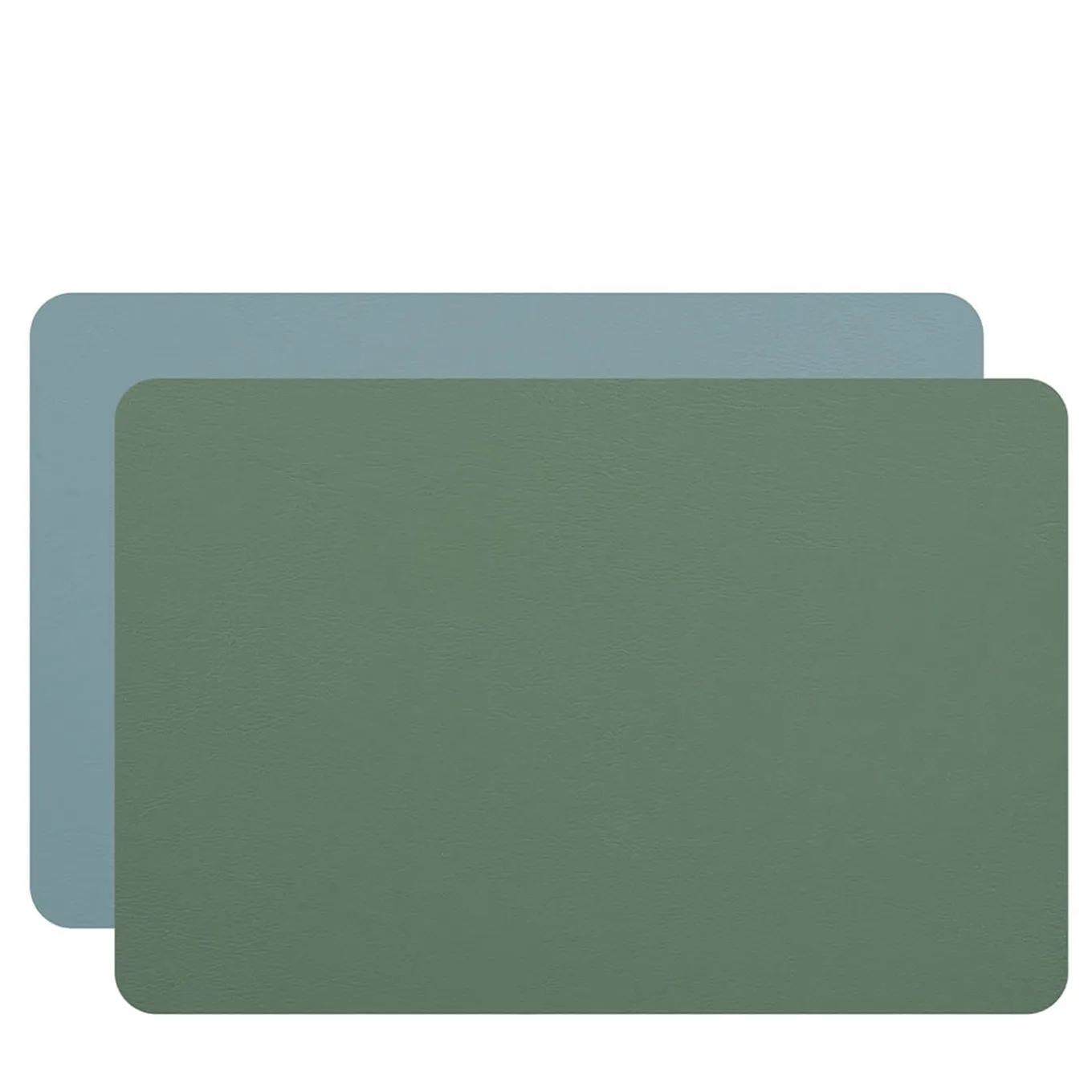 Set of 2 Double-sided Eucalyptus Sky Blue Leather Placemats #1