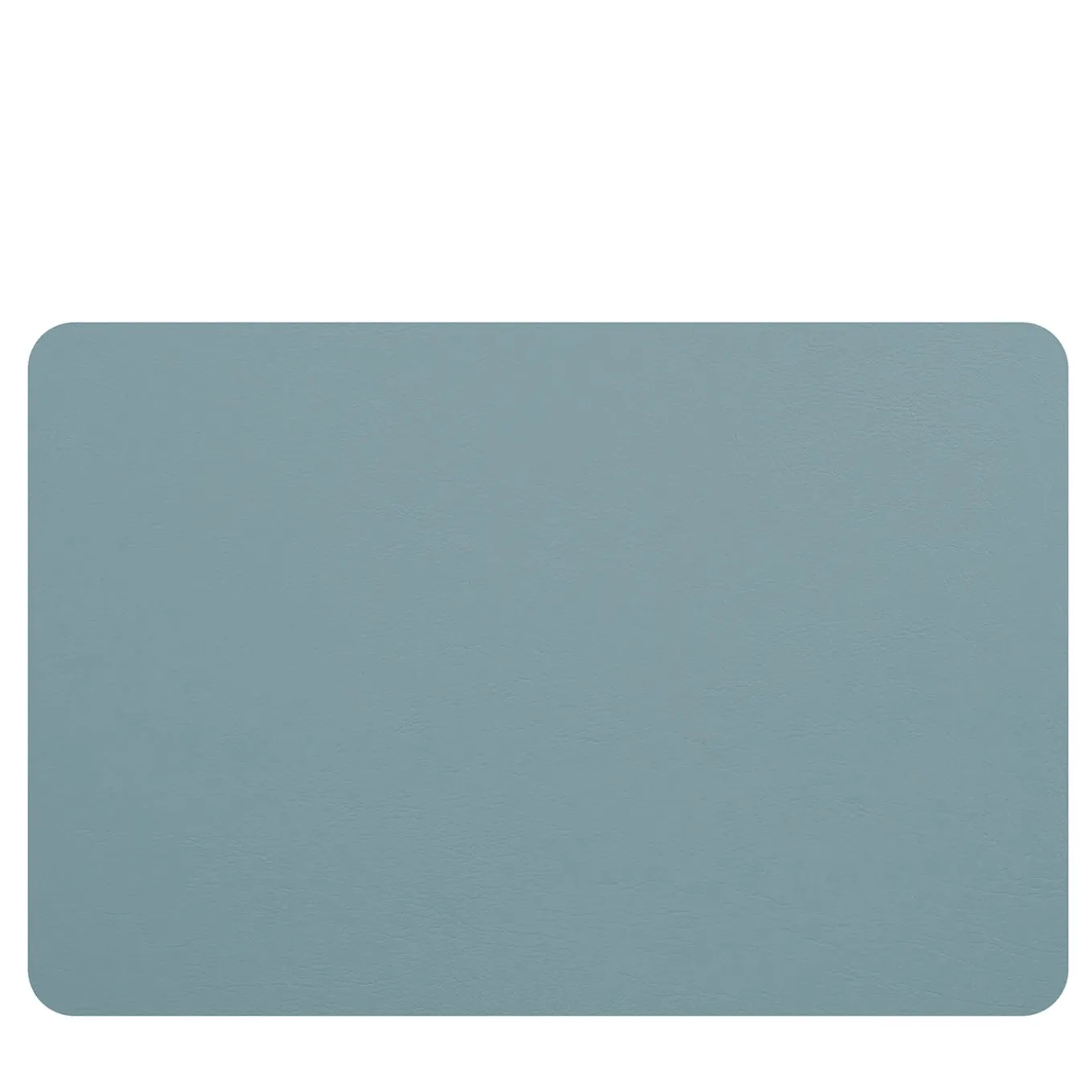 Set of 2 Double-sided Eucalyptus Sky Blue Leather Placemats #1