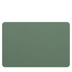 Set of 2 Double-sided Eucalyptus Sky Blue Leather Placemats #1