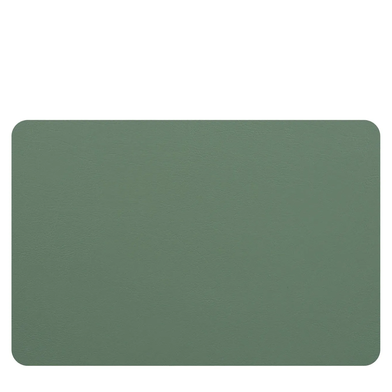 Set of 2 Double-sided Eucalyptus Sky Blue Leather Placemats #1