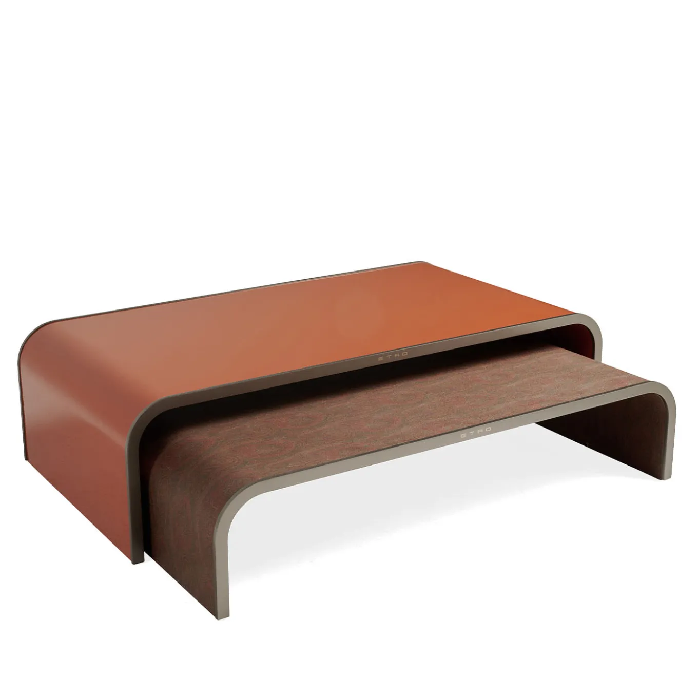 Set of 2 Fly Over Coffee Tables