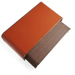 Set of 2 Fly Over Coffee Tables