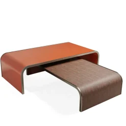 Set of 2 Fly Over Coffee Tables