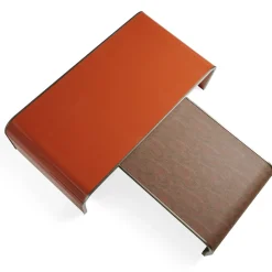 Set of 2 Fly Over Coffee Tables