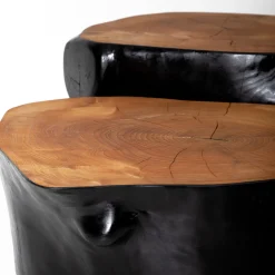 Set of 2 Geminus III Coffee Tables