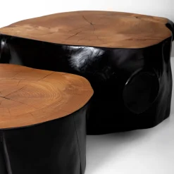 Set of 2 Geminus III Coffee Tables