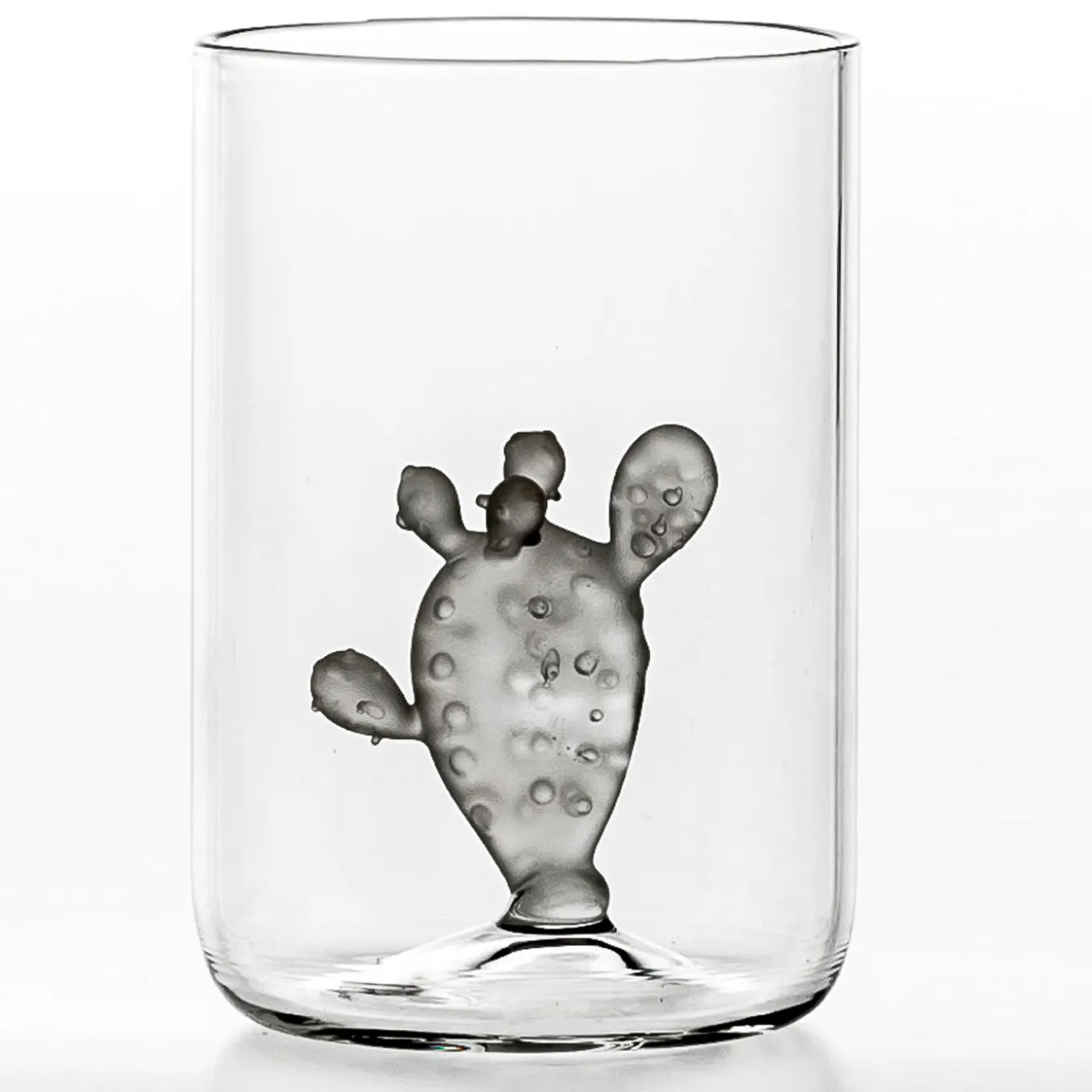 Set of 4 Glasses and 1 Jug Cactus Collection