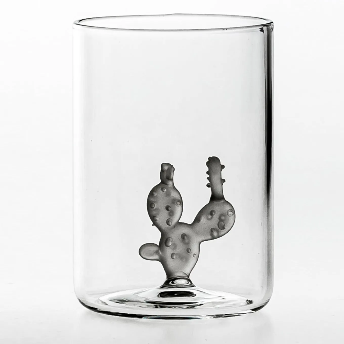 Set of 4 Glasses and 1 Jug Cactus Collection