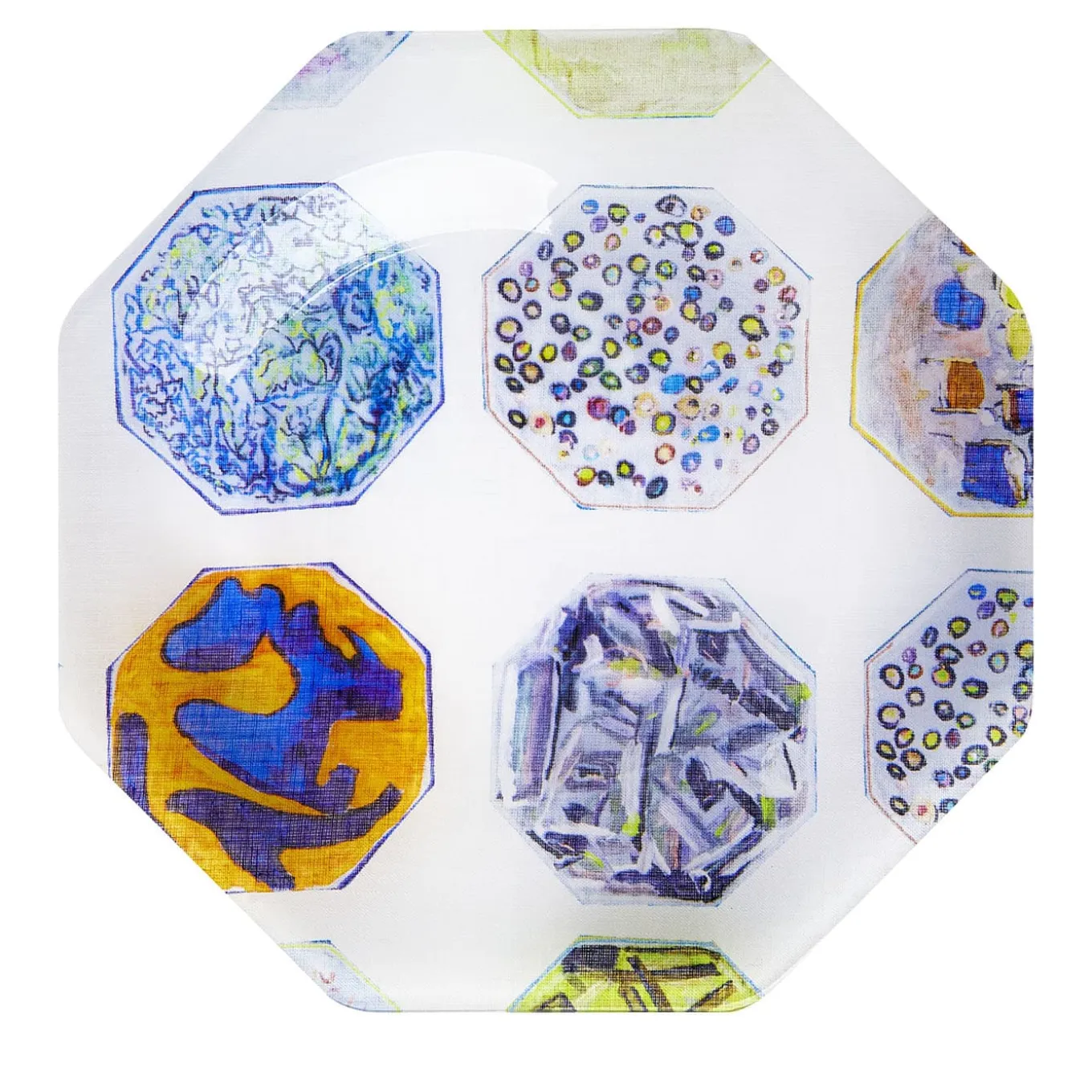 Set of 2 Medallions Asymmetrical Dinner Plates