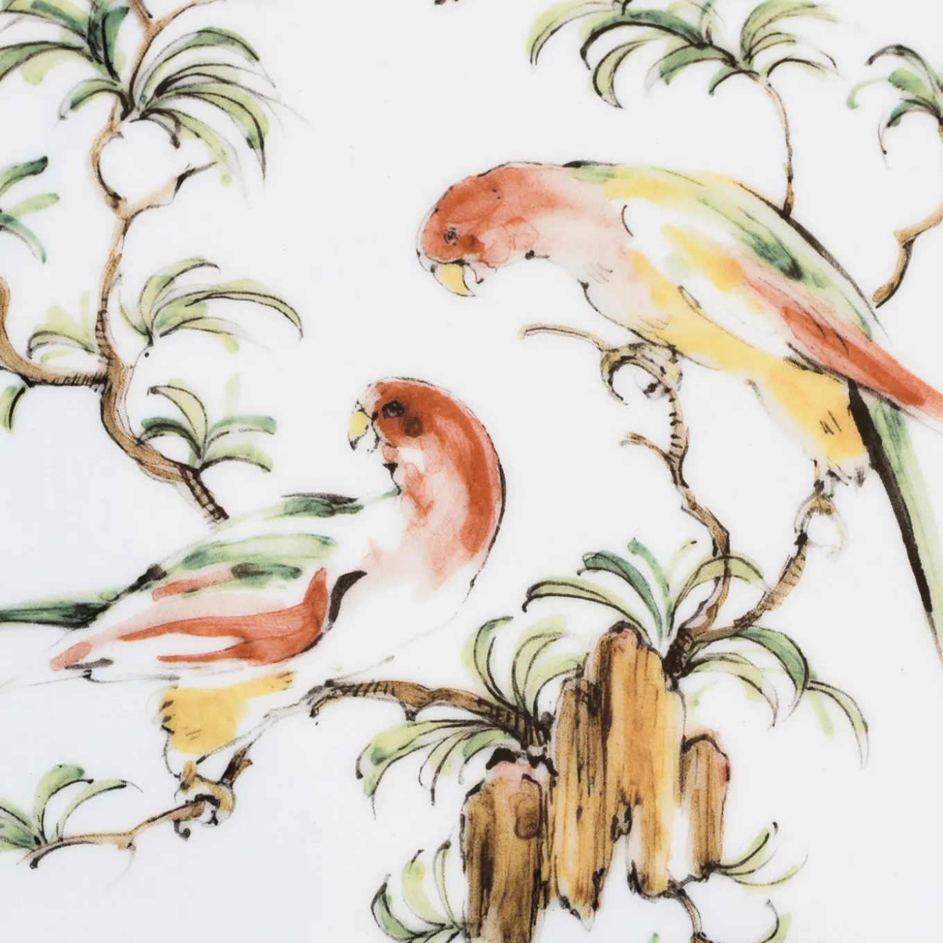 Set of 4 Pappagallini Dinner Plates