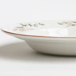 Set of 4 Pappagallini Soup Plates