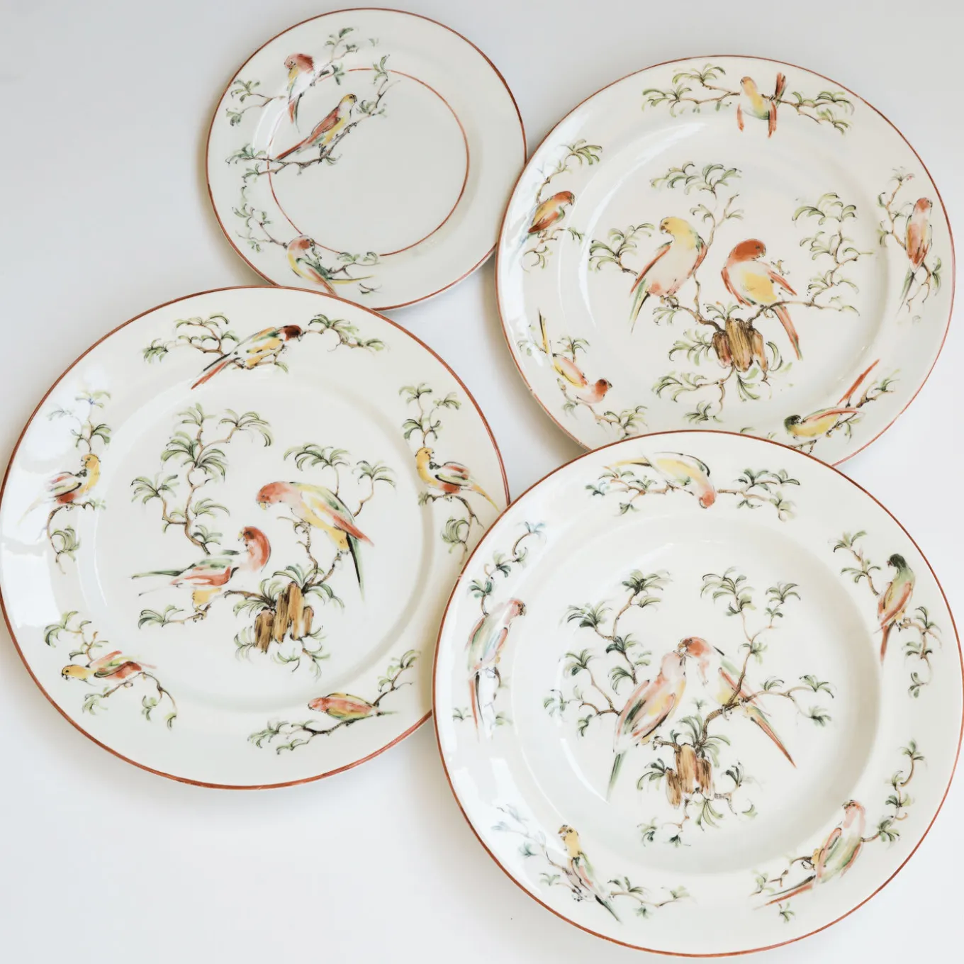 Set of 4 Pappagallini Soup Plates